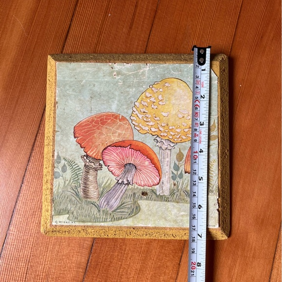 Vintage Cottagecore Mushroom Botany Litho Art Print 1971 USA made - Picture 11 of 12